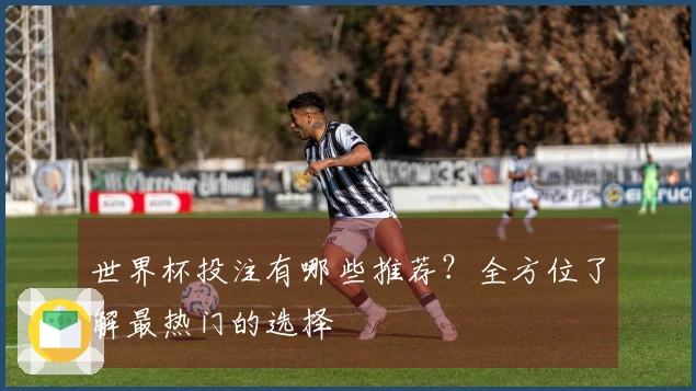 世界杯投注有哪些推荐？全方位了解最热门的选择