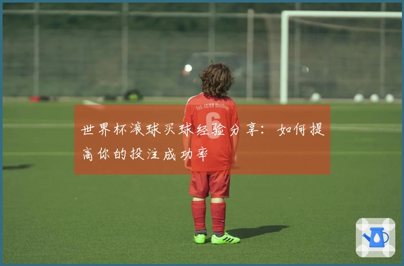世界杯滚球买球经验分享：如何提高你的投注成功率