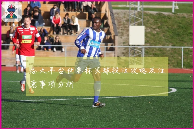 各大平台世界杯买球投注攻略及注意事项分析