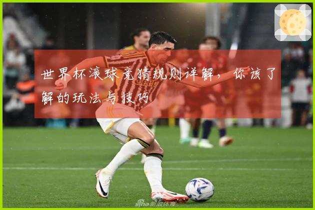 世界杯滚球竞猜规则详解，你该了解的玩法与技巧