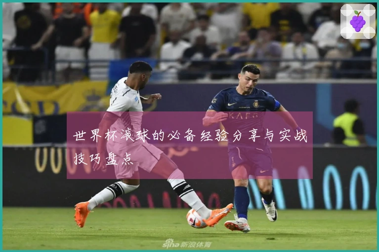 世界杯滚球的必备经验分享与实战技巧盘点