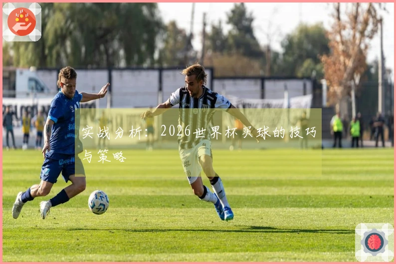 实战分析：2026世界杯买球的技巧与策略