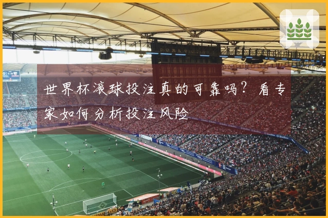 世界杯滚球投注真的可靠吗？看专家如何分析投注风险