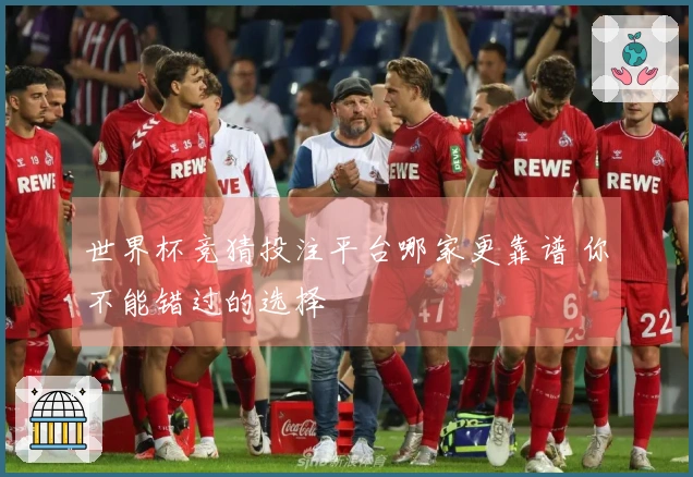 世界杯竞猜投注平台哪家更靠谱 你不能错过的选择